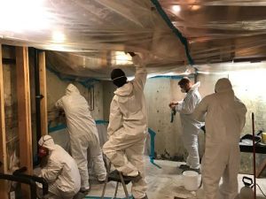 911 Restoration Mold Removal Riverdale